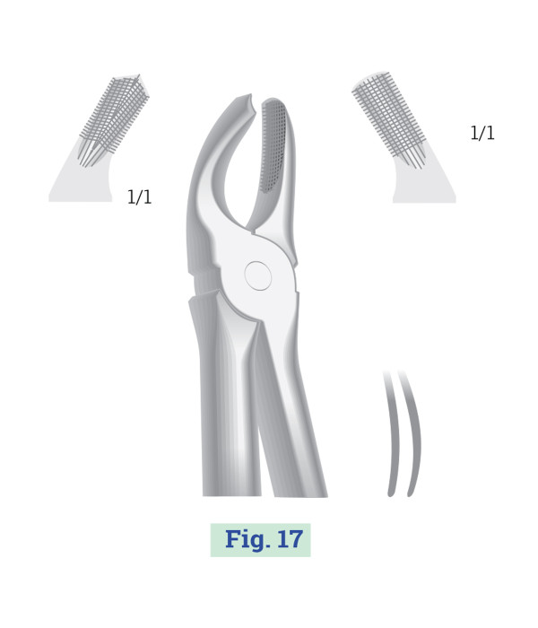 GENERAL SURGICAL