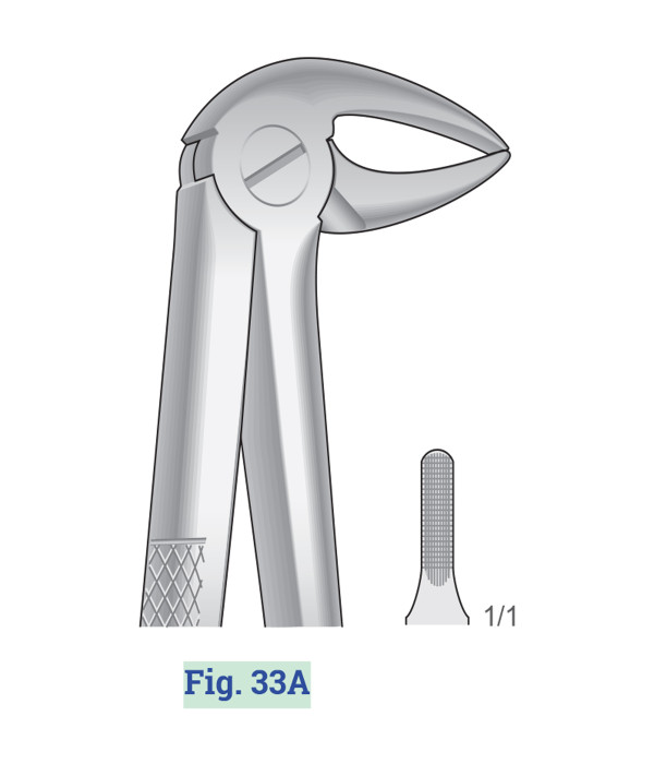 GENERAL SURGICAL