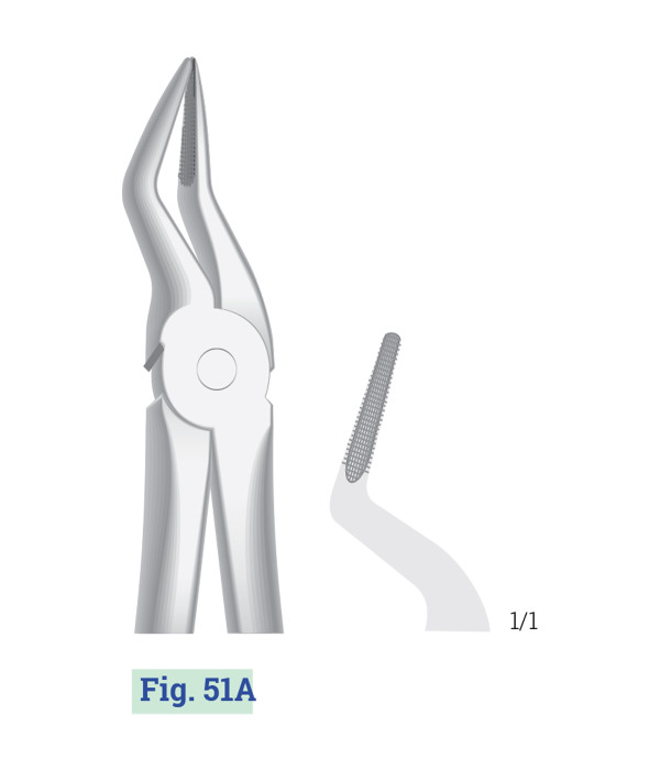GENERAL SURGICAL