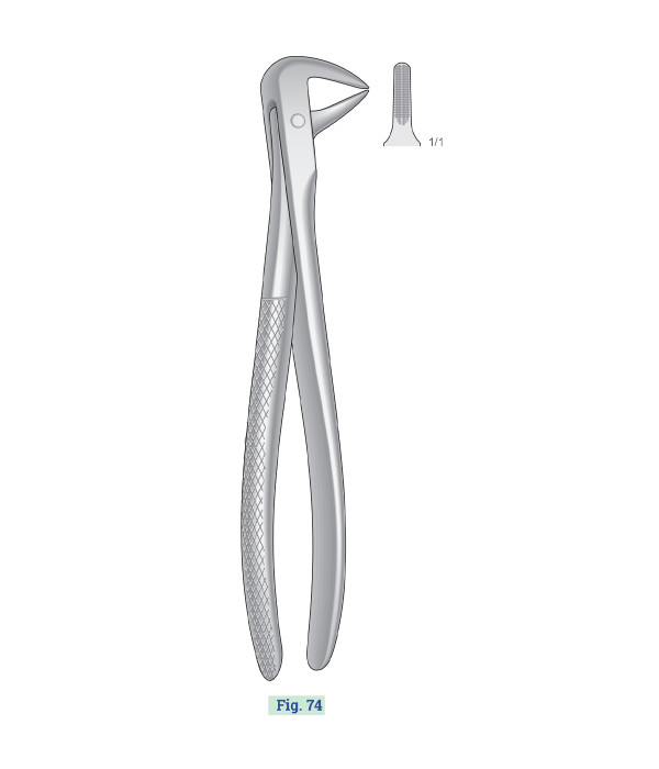 GENERAL SURGICAL